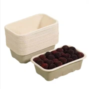 Caja rectangular de bagazo