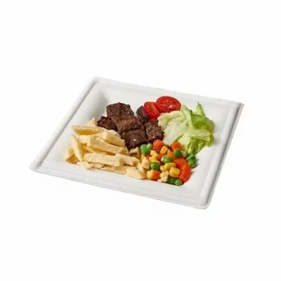 Plato Cuadrado De Bagazo
